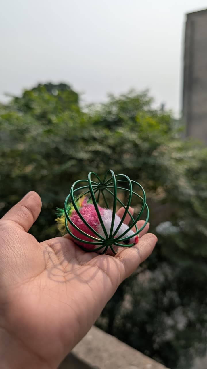 Mouse Cage Ball