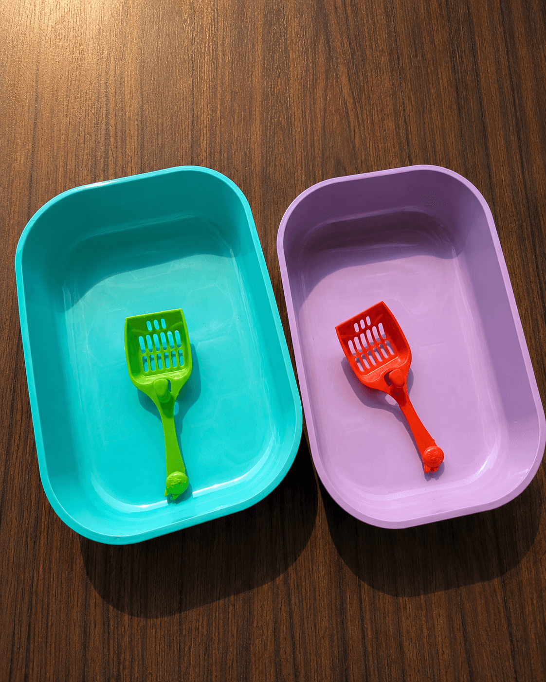 Oval Shape Tray